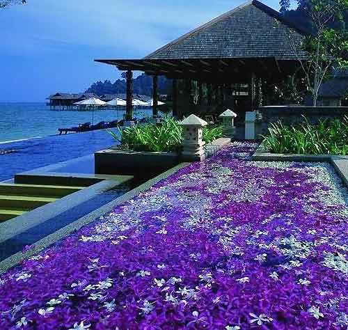 ӡ����嵺����