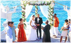 ���嵺�������