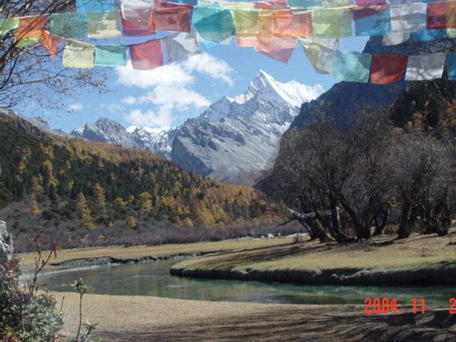 �������Ƕ���