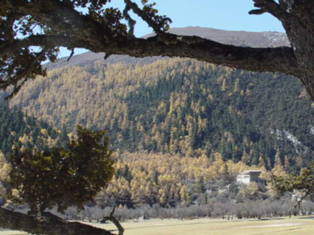 ��ɽ�ع���