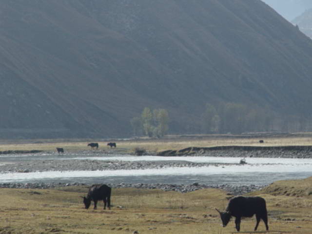 �����¶���