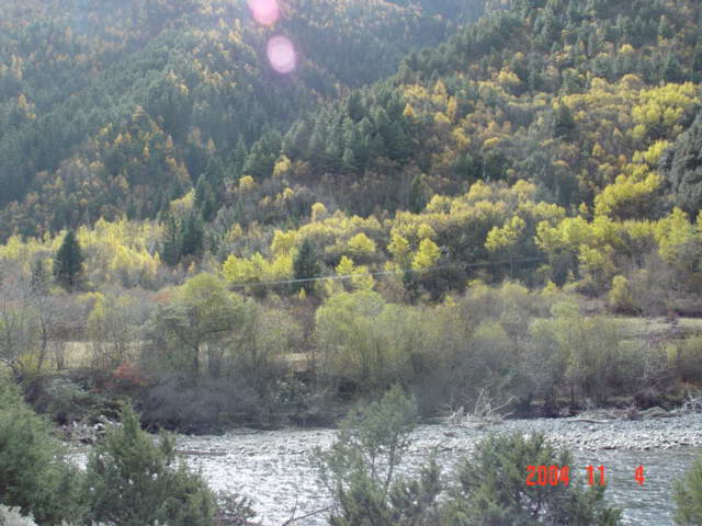 ������Ŀ�Դ�