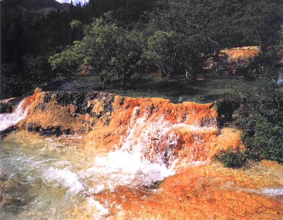 ������Һ����