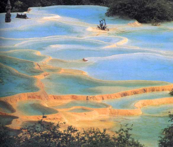 �������޲ʳ�