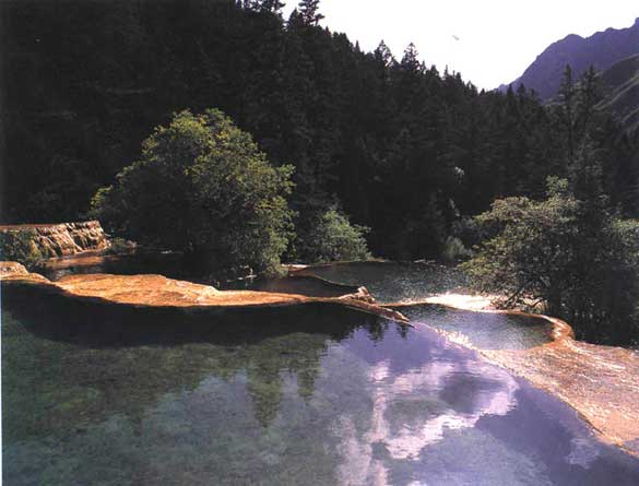 ����ӭ����