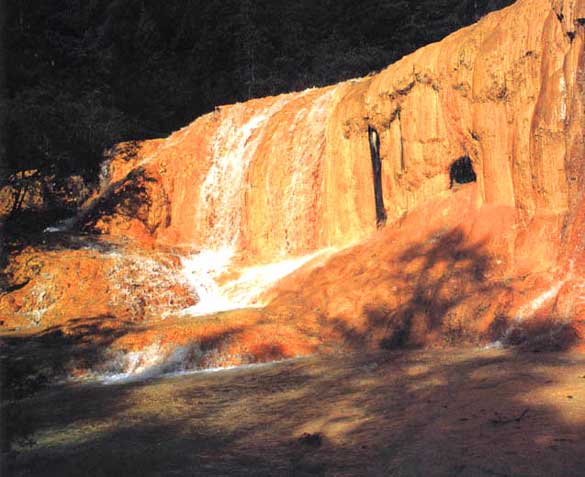 ������ϴ����