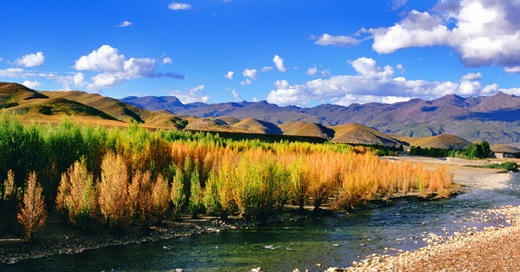 �����Ƕ���������