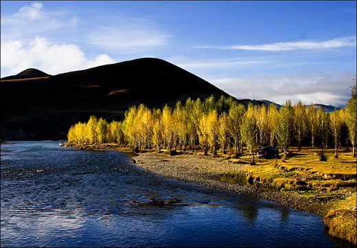 �����Ƕ���������