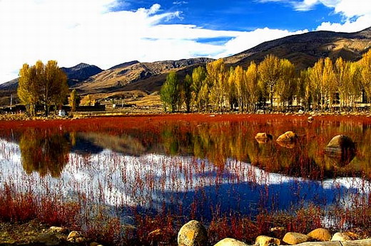 �����Ƕ�����������