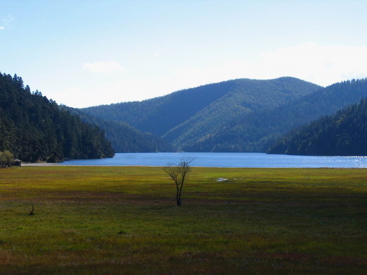 �����Ƕ�����������