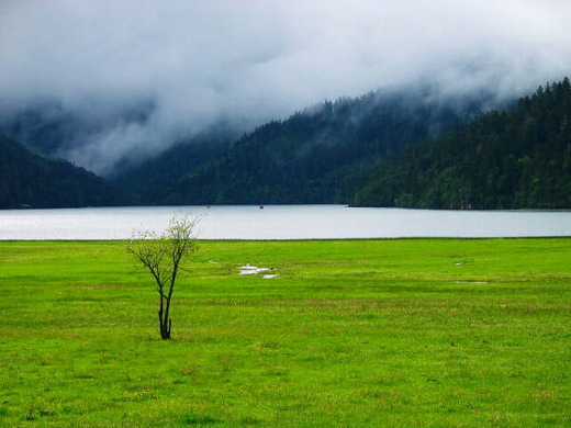 �����Ƕ�����������