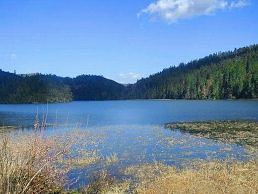 �����Ƕ�����������