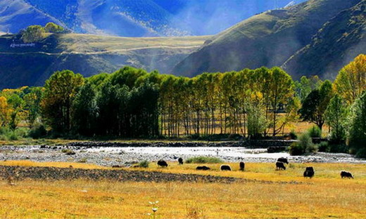 ��Ӱ���á����¶���