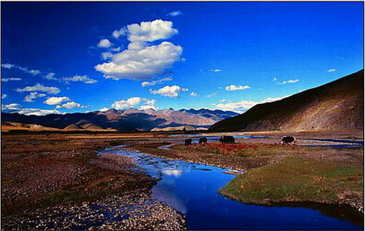 ��Ӱ���á����¶���