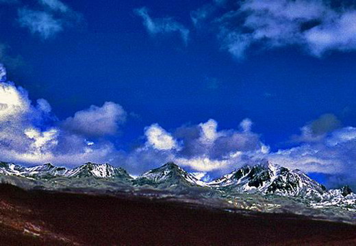 �����Ż������۶�ɽ