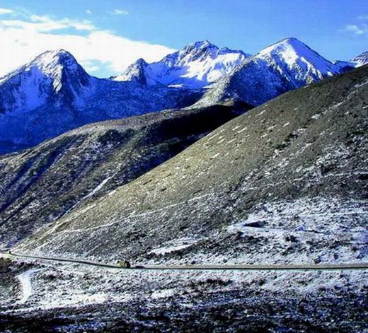 �����Ż������۶�ɽ