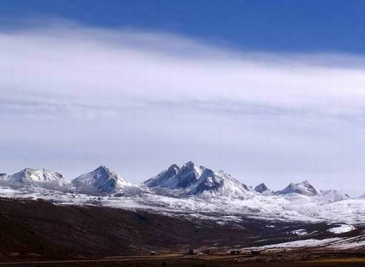 �����Ż������۶�ɽ