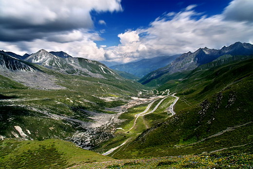 �����Ż������۶�ɽ