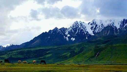 �������չ�