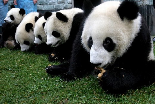 ������è��Ȼ������