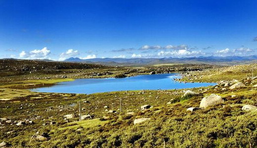 ����ɽ������