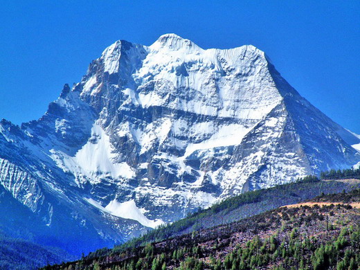 �������ɹ���