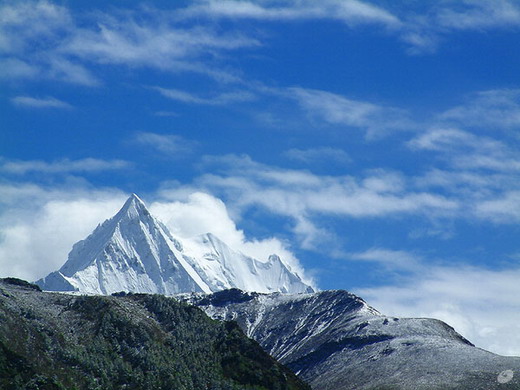 �������ɹ���