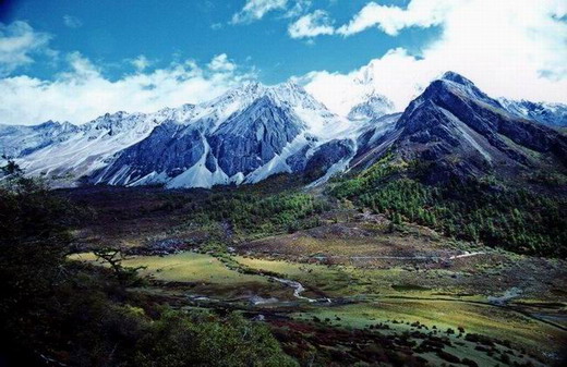 ����ţ��