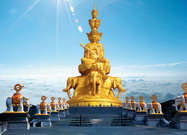 ʮ������