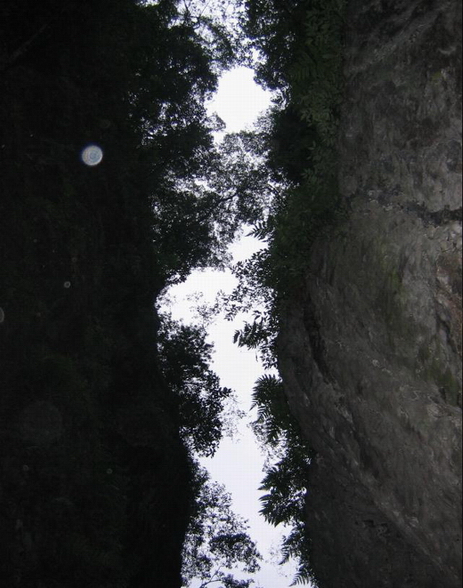 ��üɽһ����