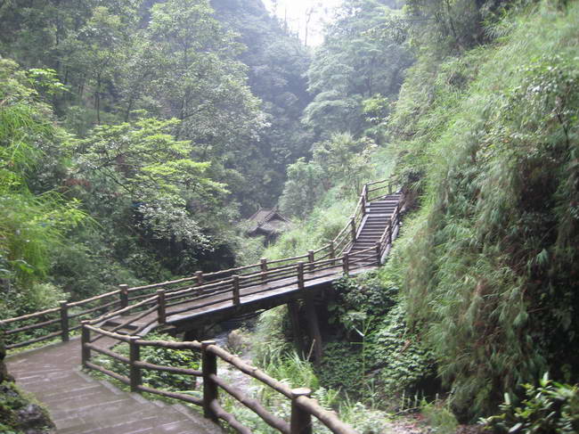 ��üɽһ����