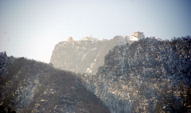 ���϶�Զ����