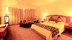 ��üɽ�𶥴�Ƶ�