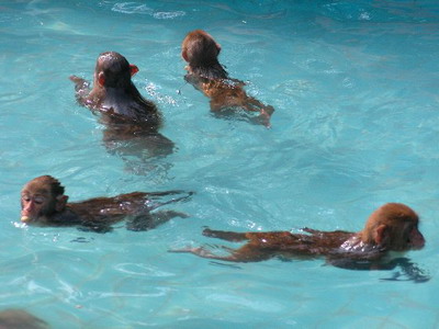 ��ˮ�����