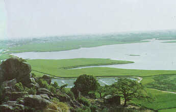 �����ȴ�Ұ����ֲ��԰ 