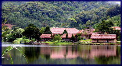 ����԰������