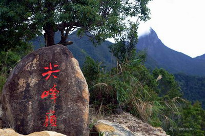 �����ԭʼ���� 