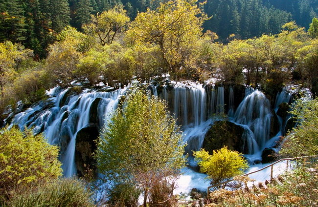 �����ٲ�