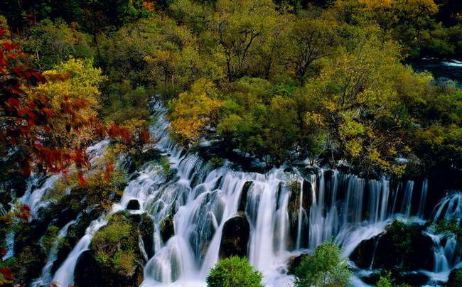 �����ٲ�