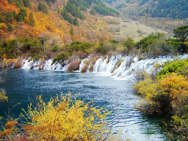 �����ٲ�