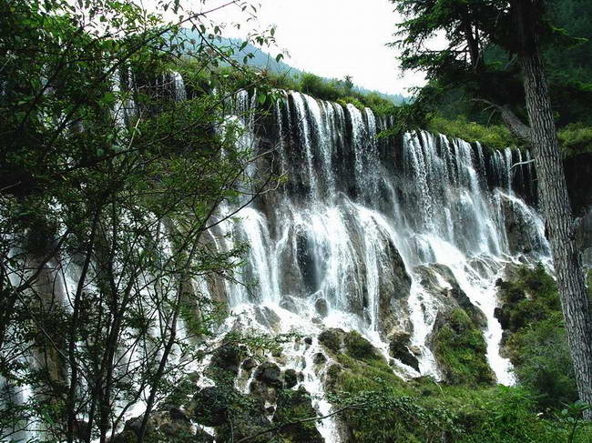 ŵ�����ٲ�