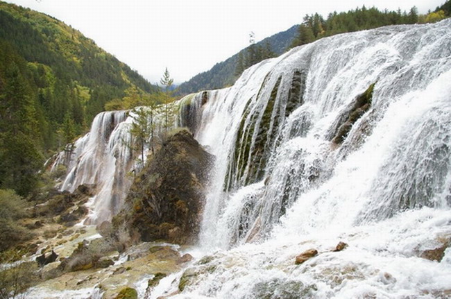 ����̲�ٲ�