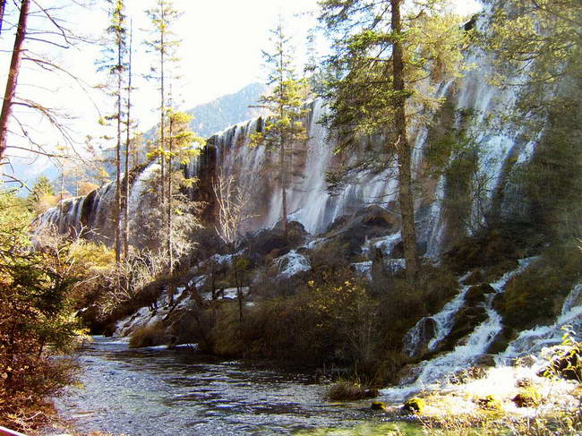 ����̲�ٲ�