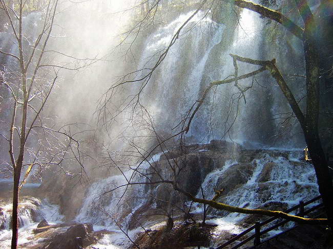 ����̲�ٲ�