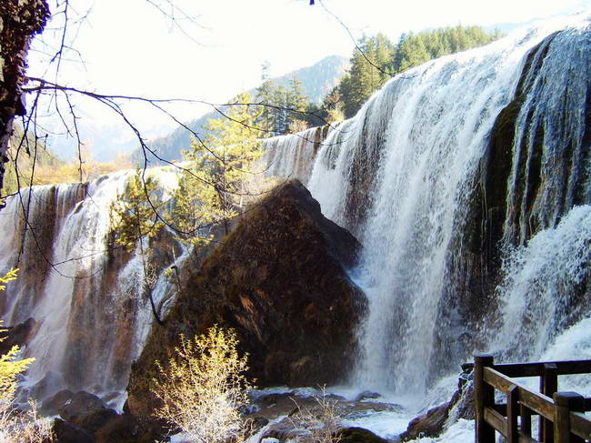 ����̲�ٲ�