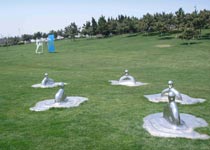 �ൺ����԰