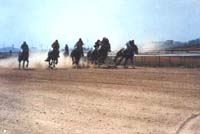 ���������ζȼ���