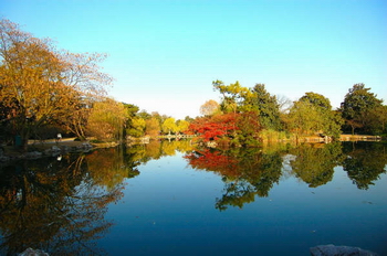 ���۹���