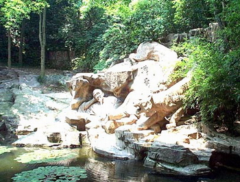 �����ʲ�