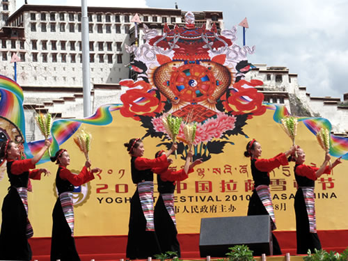 2010���й�����ѩ�ٽ�¡�ؿ�Ļ